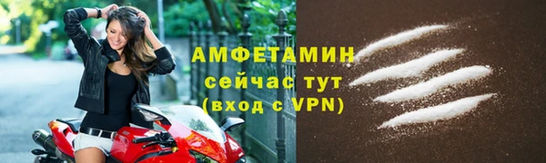 apvp Вяземский