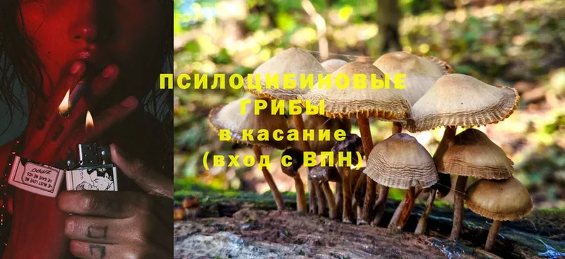 нарко площадка официальный сайт  Агидель  Галлюциногенные грибы Magic Shrooms 